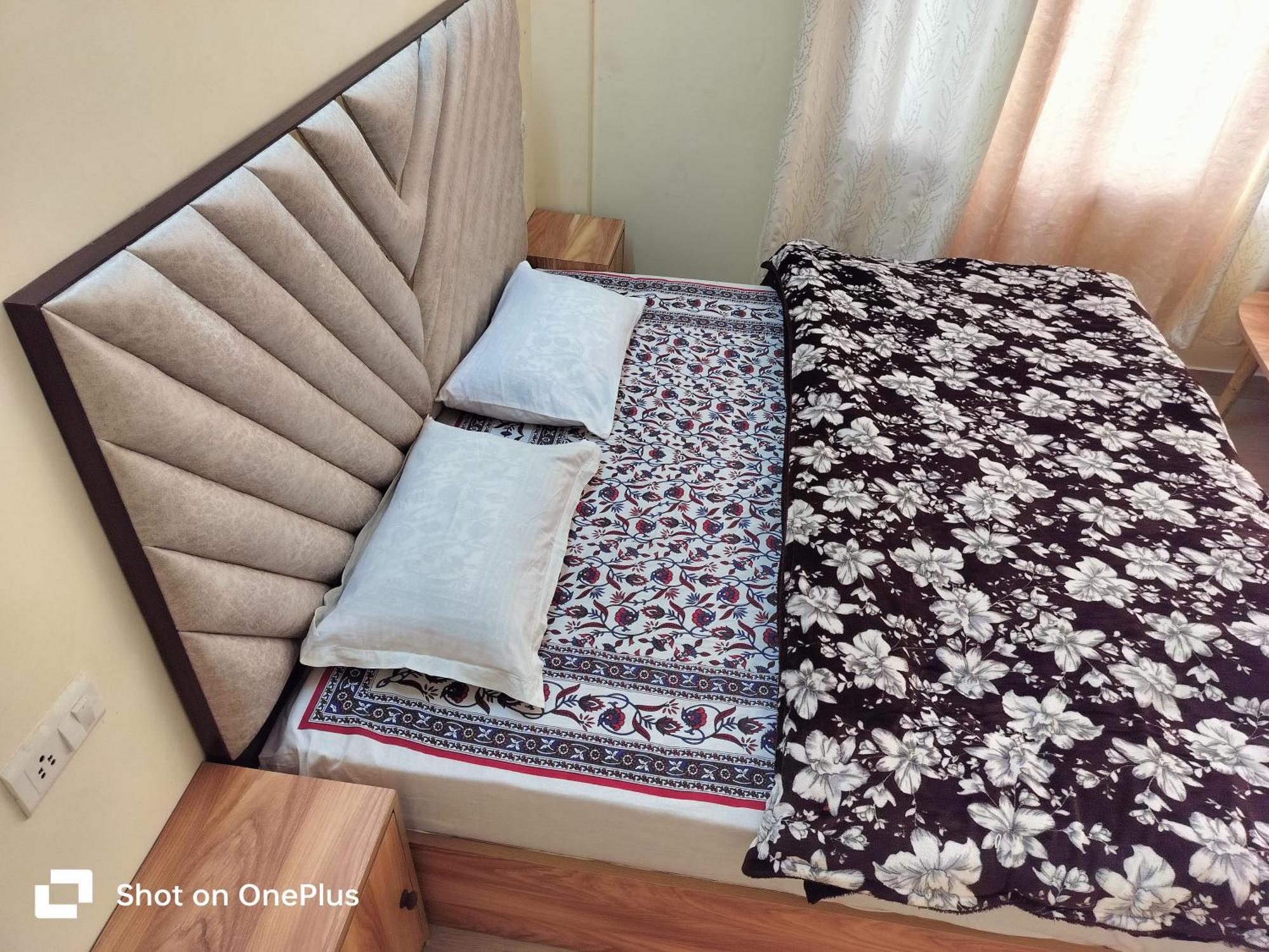 Shimla Vibes B & B Free Pick & Drop From Isbt Shimla Exterior photo